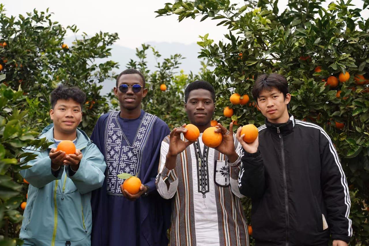 Voyage Chine - Photo 1